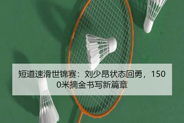 duan-dao-su-hua-shi-jin-sai-liu-shao-ang-zhuang-tai-hui-yong-mi-zhai-jin-shu-xie-xin-pian-zhang-3-691.jpg