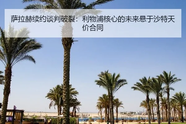 sa-la-he-xu-yue-tan-pan-po-lie-li-wu-pu-he-xin-de-wei-lai-xuan-yu-sha-te-tian-jia-he-tong-2-560.jpg