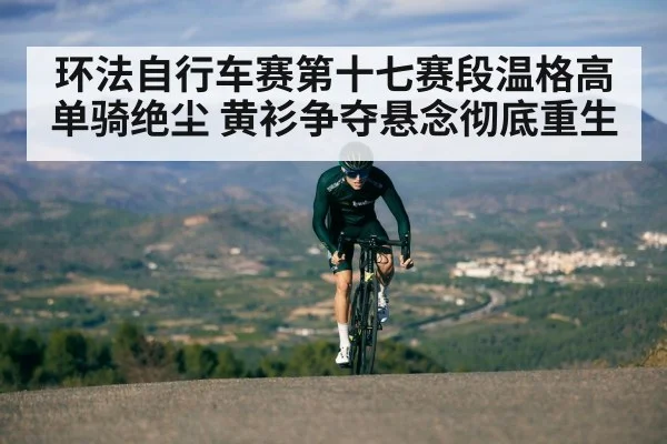 环法自行车赛第十七赛段温格高单骑绝尘 黄衫争夺悬念彻底重生