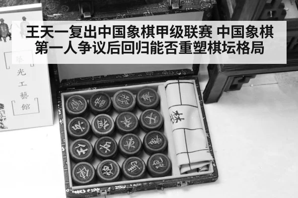chinese chess pieces