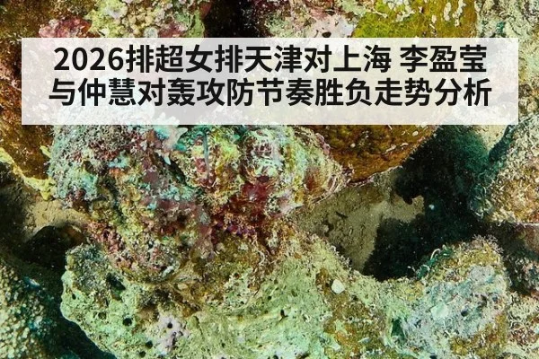 2026排超女排天津对上海 李盈莹与仲慧对轰攻防节奏胜负走势分析